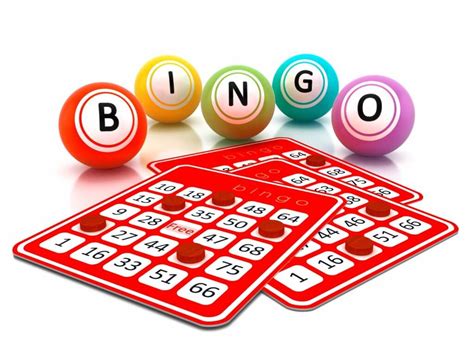 Bingos casino aplicação