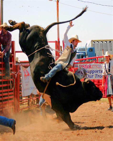Bull In A Rodeo NetBet