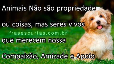 Recados de resgate de animais