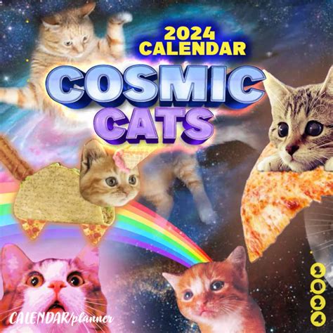 Space Cat Review 2024